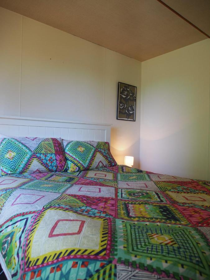 Cosy, Comfortable Cottage - Views & Location Plus Beauty Point Eksteriør billede