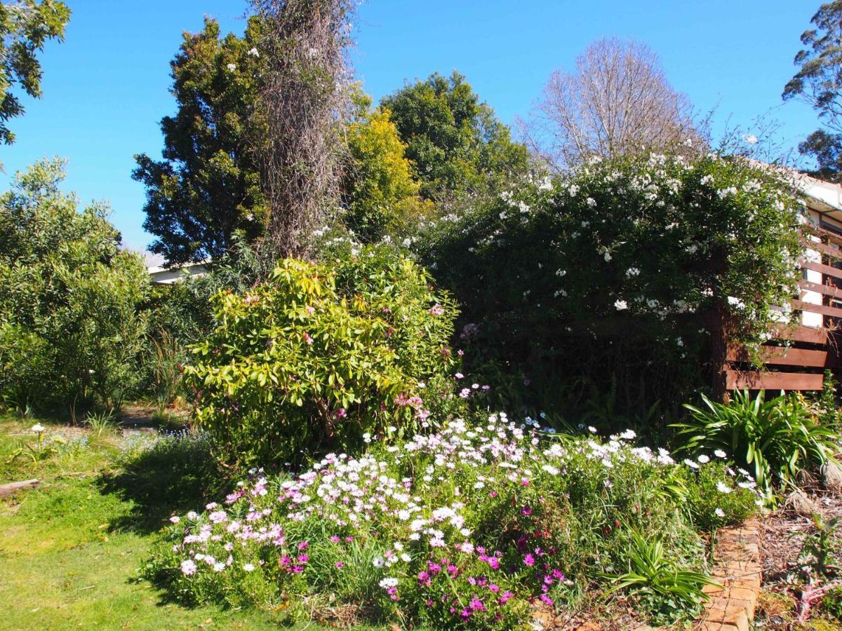 Cosy, Comfortable Cottage - Views & Location Plus Beauty Point Eksteriør billede